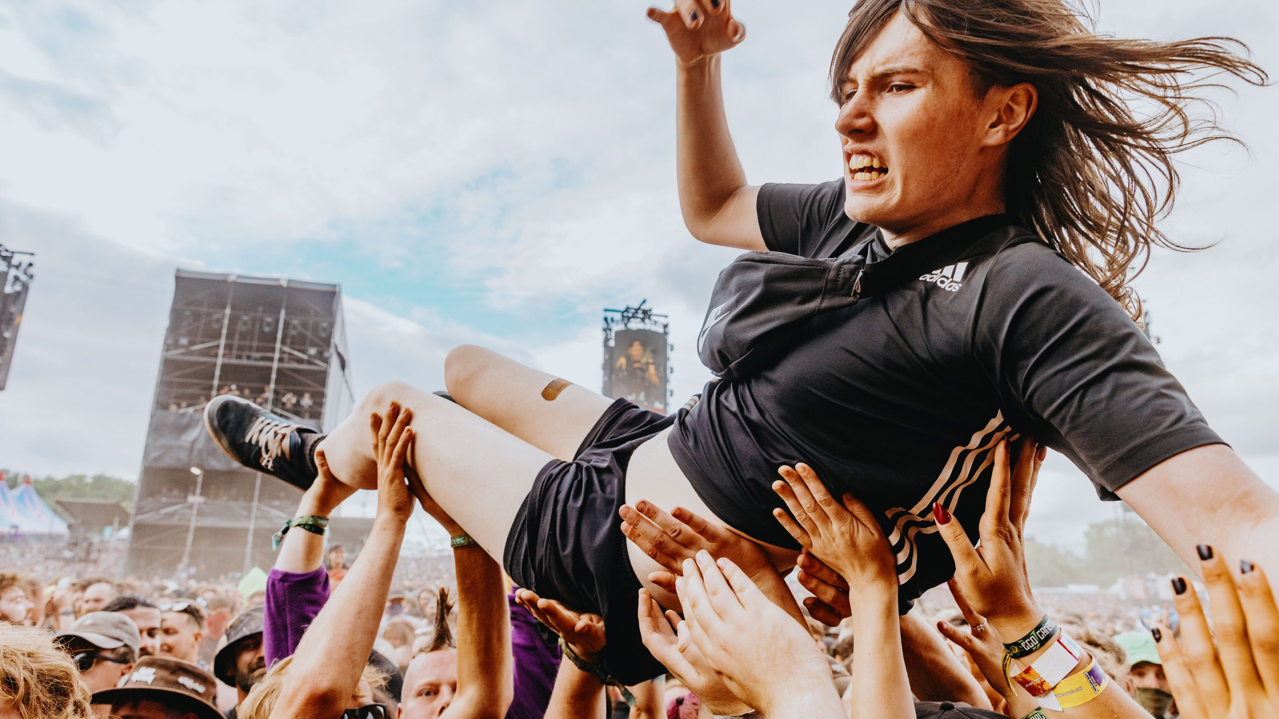 Download: ANDREW_WHITTON